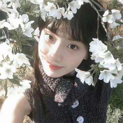 每天都在征服生活